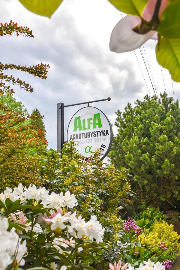 Agroturystyka Alfa Bystra  Luaran gambar